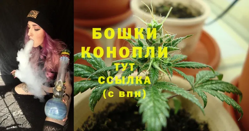 купить   Фрязино  Шишки марихуана LSD WEED 